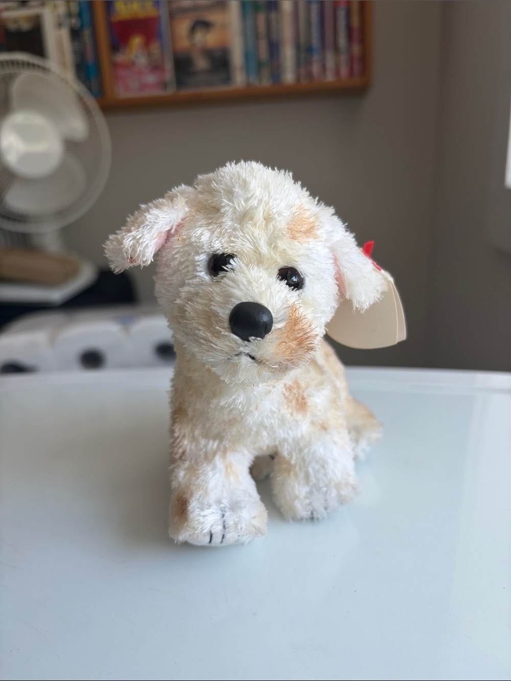 TY BEANIE BABY CARGO 2006